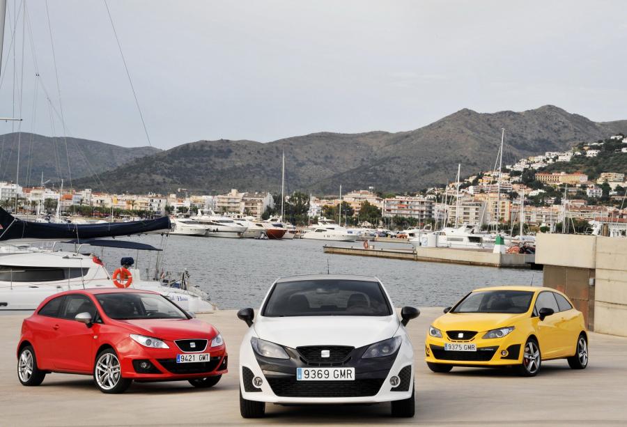  Seat Ibiza Cupra 2009 года  (фото 58 из 84)